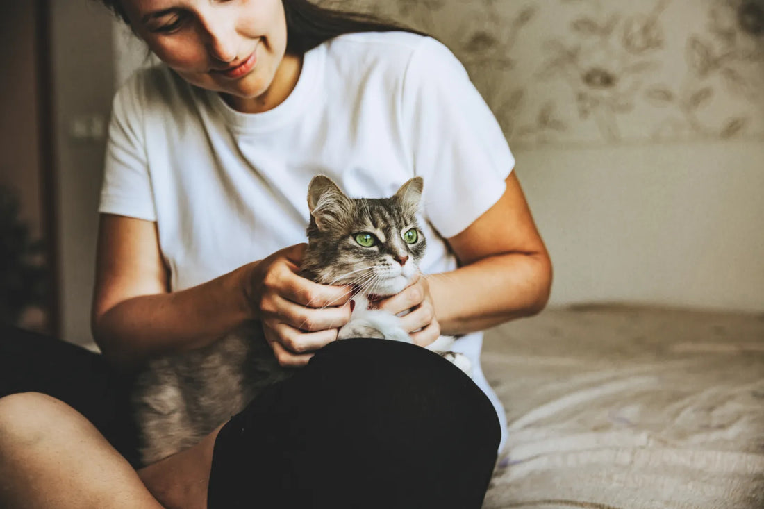 How Living with a Pet Can Help Protect Your Emotional Well-Being