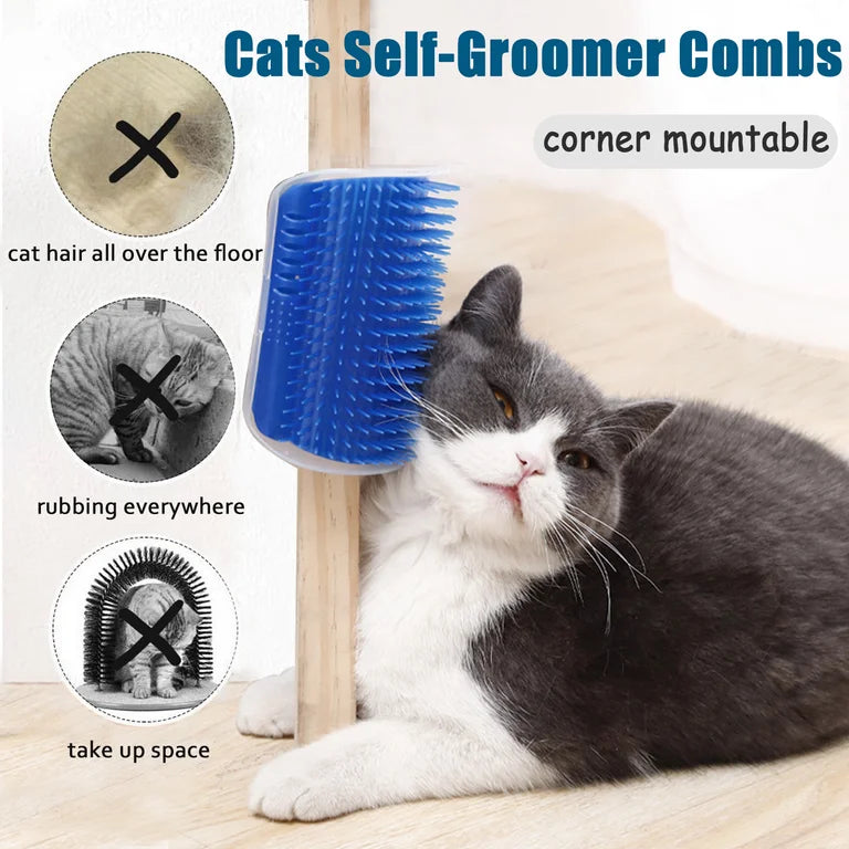 Why Pet Grooming Works Better in Short, Regular Moments