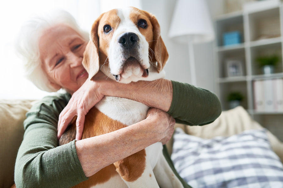 Pets Are Friends — And Lifelong Companions