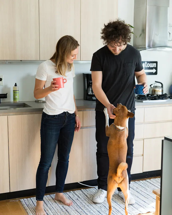 Pet Supplies Are More Than Pet Supplies