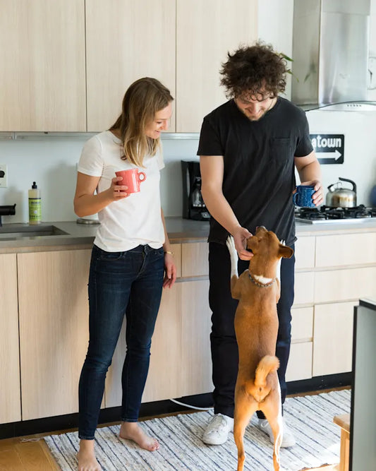 Pet Supplies Are More Than Pet Supplies