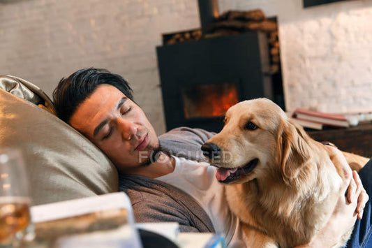How Pets Help Us Heal, One Quiet Moment at a Time