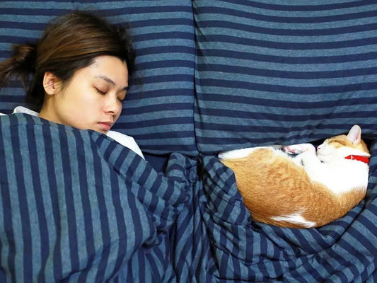 Sometimes You Don’t Need to Give Up — You Just Need Your Pet