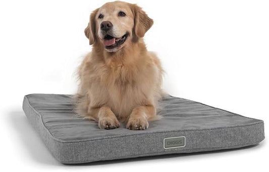 Diggs Snooz Memory Foam Dog Bed - Ideally Sized Revol Dog Crate Pad - Premium Orthopedic Pet Bed for Crate or Home - Grey, Large by Diggs