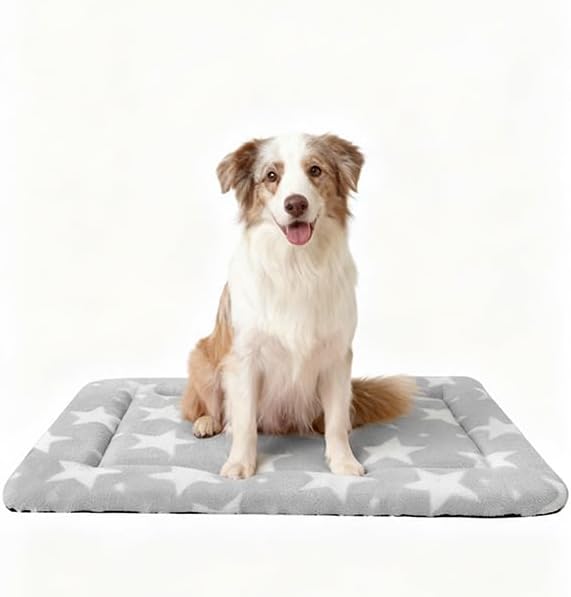 Dog Bed Mat, Reversible Dog Crate Pad with Washable Kennel Mat and Soft Foam, Pet Bed for Dogs & Cats, for Crates Carriers & Travel(Big&Small Stars Grey, 35" L*23" W*1.5" Th) by FogkissComfyPawsHome