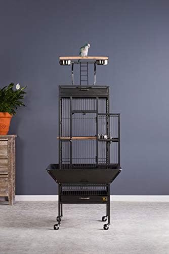 Prevue Pet Products Wrought Iron Select Bird Cage - Durable Steel Cage with Rolling Stand and Seed Guards, Ideal for Cockatiels and Medium Birds - Black Hammertone - Image 2