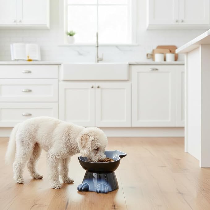 Nihow Elevated Ceramic Dog Bowls: 6.5 Inch Raised Dog Bowl for Food & Water | Food Safe Bowl for Medium/Small Size Dogs - Gray Puppy Bowls for Protecting Pet's Spine(1 PC) - Image 5