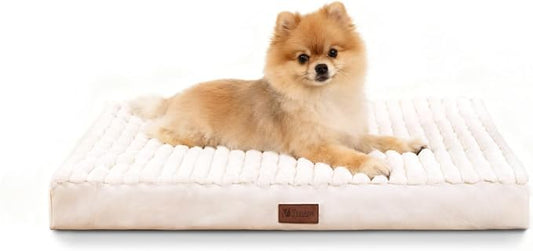 Orthopedic Dog Bed for Small Dogs,Firm Egg Crate Foam,Non-Slip Bottom,Beige | Soft Plush Surface,Removable Machine Washable Cover,Ideal for Crates & Small Spaces,Designed for Joint Support,23"x17"x3" by VERABE