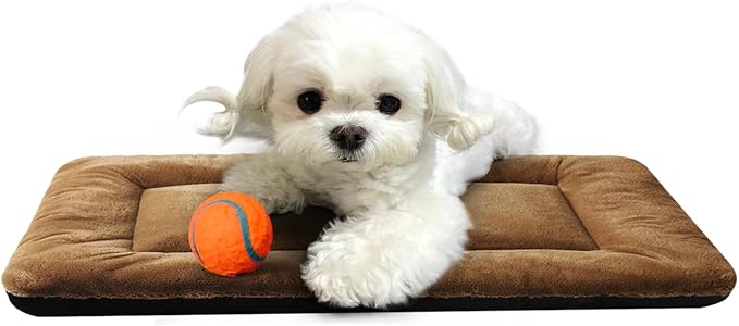 Dog Crate Pad Washable Dog Bed for Crate Small Cozy Mat 22-Inch Brown | Ultra Soft Kennel Pad,Anti-Slip Bottom,Fits for Most Metal Crates,Comfortable Sleeping Pet Mat by VERZEY