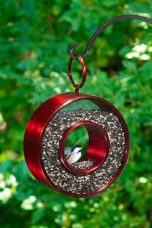 Good Directuions Fly Thru Red Bird Feeder with Plexiglass