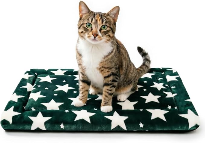 Dog Bed Mat, Reversible Crate Pad & Cute Dog Bed - Machine Washable Kennel Mat with Ultra Soft (Big&Small Stars Green, 18" L x 14" W x 1.5" Th) by FogkissComfyPawsHome