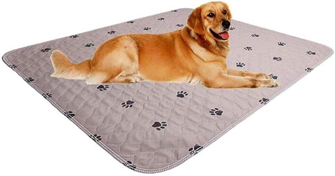 Washable Dog Pee Pads with Puppy Grooming Gloves,Puppy Pads,Reusable Pet Training Pads,Large Dog Pee Pad,Waterproof Pet Pads for Dog Bed Mat,Super Absorbing Whelping Pads by SINCOPET