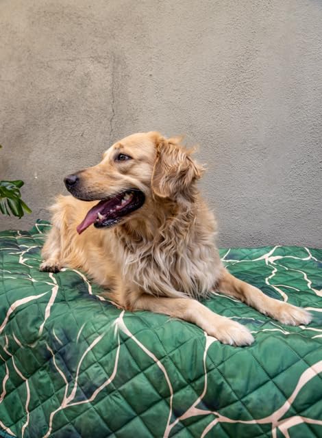 Waterproof Blanket, 60”x70” - Large Couch Cover for Dogs and Pets - Ideal for Picnics, Outdoor, Camping, Beach and More - Large, Washable Protector - Image 4