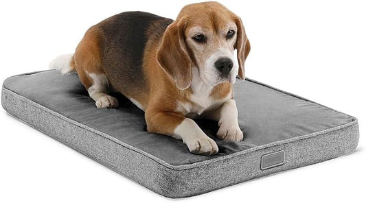 Diggs Snooz Memory Foam Dog Bed - Ideally Sized Revol Dog Crate Pad - Premium Orthopedic Pet Bed for Crate or Home - Grey, Medium by Diggs