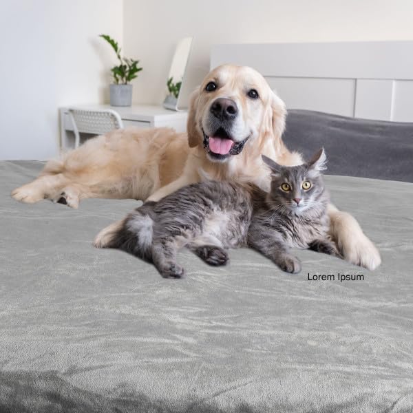 PETMAKER Waterproof Pet Blanket - 50x60-Inch Reversible Sherpa Fleece Throw Protects Couches, Cars, and Beds from Spills, Stains, and Fur (Gray) (Pack of 2) - Image 8