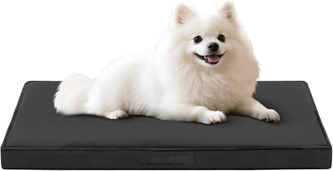 Outdoor Dog Bed for Medium Sized Dogs, Waterproof Dog Bed Medium, 30x20x3 Inch, Orthopedic Dog Bed with Removable Washable Cover, Flat Rectangle Egg Crate Foam Pet Bed for Outside, Dark Grey by Aeroluxe