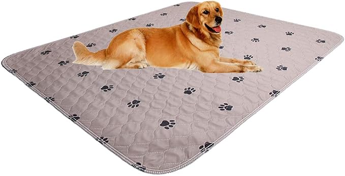SincoPet Washable Dog Pee Pads with Puppy Grooming Gloves,Puppy Pads,Reusable Pet Training Pads,Large ,Waterproof Pet Pads for Dog Bed Mat,Super Absorbing Whelping Pads,41x41 Inch (Pack of 2) by SINCOPET