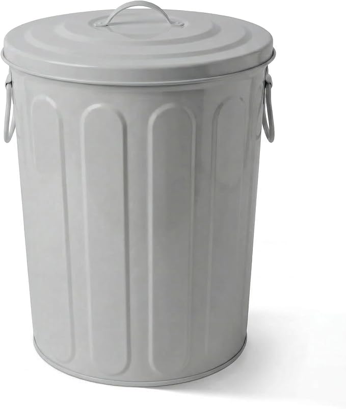 Plexon 5 Gallon Small Metal Trash Can with Lid Outdoor Galvanized Steel Bucket with Lid 5 Gal Storage Can for Dog Food Bird Seed Storage Container, Gray by Plexon