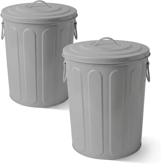Plexon 5 Gallon Small Metal Trash Can with Lid Outdoor Galvanized Steel Bucket with Lid 5 Gal Storage Can for Dog Food Bird Seed Storage Container, Gray 2 Pack by Plexon