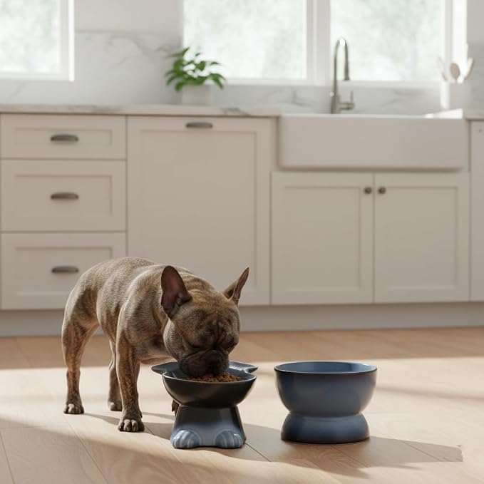 Nihow Dog Food & Water Bowls: Elevated Ceramic Bowls for Medium/Small Dog | Food Safe Raised Puppy Bowls - Gray Pet Bowl for Protecting Pet's Spine (Set of 2) - Image 4