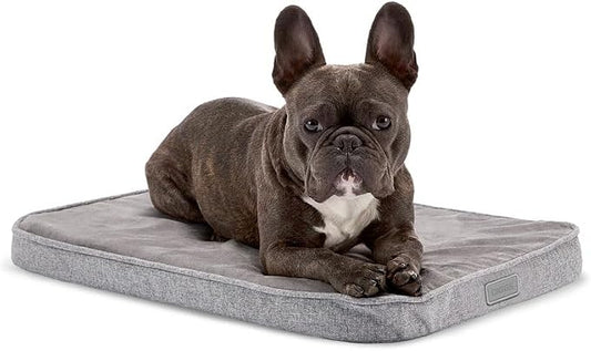 Diggs Snooz Memory Foam Dog Bed - Ideally Sized Revol Dog Crate Pad - Premium Orthopedic Pet Bed for Crate or Home - Grey, Small by Diggs