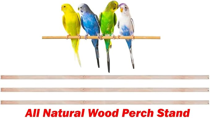 37-inch Portable Hanging Medium Flight Bird Cage for Cockatiel Sun Quaker Parakeet Green Cheek Conure Parrotlet Finch Canary Budgie Lovebird Small Parrot Travel Bird Cage (Black, Without Toy) - Image 4