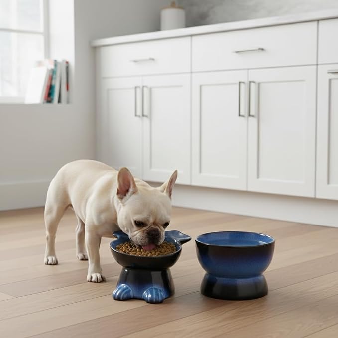 Nihow Dog Food & Water Bowls: Elevated Ceramic Bowls for Medium/Small Dog | Food Safe Raised Puppy Bowls - Vivid Blue Pet Bowl for Protecting Pet's Spine (Set of 2) - Image 5