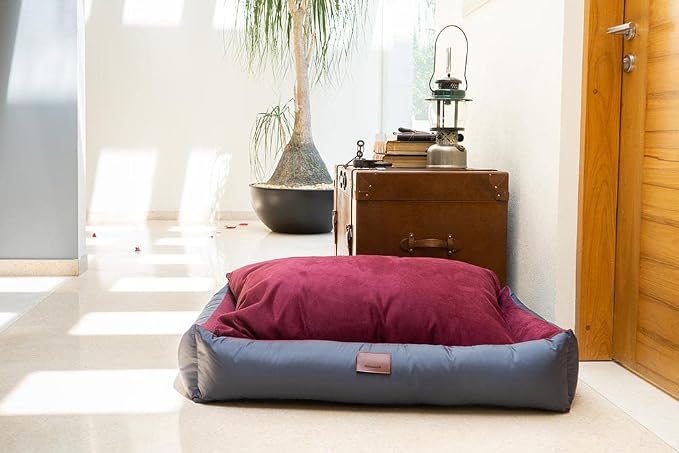 Personalized Dog Bed, Extra Comfort, Removable Washable Cover, Waterproof Bottom, Multiple Sizes & Colors - Image 7