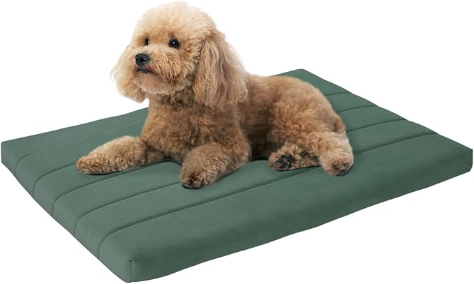 BALANCE Dog Crate Bed, Orthopedic Dog Bed Pad with Waterproof Liner, Washable Crate Foam Pet Mat for Large, Medium, Puppy Dogs Breeds, Mint Leaf, 30"x19"x1.6" by BalancePet