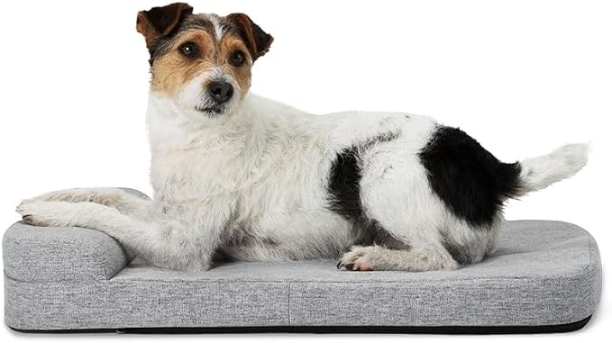 Diggs Bolstr Orthopedic Dog Bed with Headrest - Dog Crate Bed for Evolv Crate & Other Standard Pet Kennels - Durable & Comfortable - (Small) by Diggs