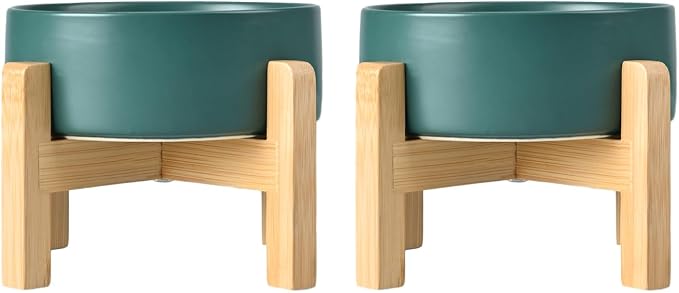 SPUNKYJUNKY Ceramic Elevated Dog Bowls 2 Pack - 6.1inch Raised Dog Bowls with Non-Slip Wooden Stand for Medium Dogs Dishwasher Safe(Green,28.7OZ*2) by SPUNKYJUNKY