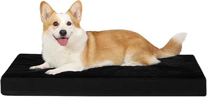 KSIIA Orthopedic Dog Bed for Large Dogs with Waterproof Lining, Black,35x22 | Deluxe Soft Plush Dog Crate Bed, Washable Pet Mat with Removable Cover & Egg Crate Foam for Large Dogs Sleeping & Relaxing by KSIIAPetProducts