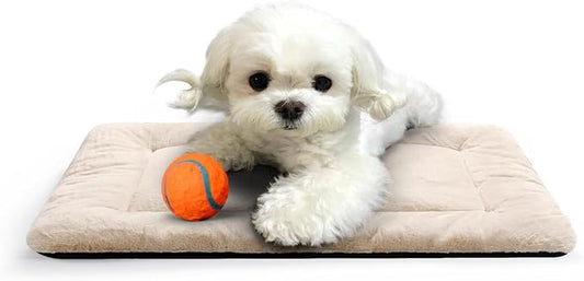 Dog Crate Pad Washable Dog Bed for Crate Small Cozy Mat 22-Inch Cream | Ultra Soft Kennel Pad,Anti-Slip Bottom,Fits for Most Metal Crates,Comfortable Sleeping Pet Mat by VERZEY