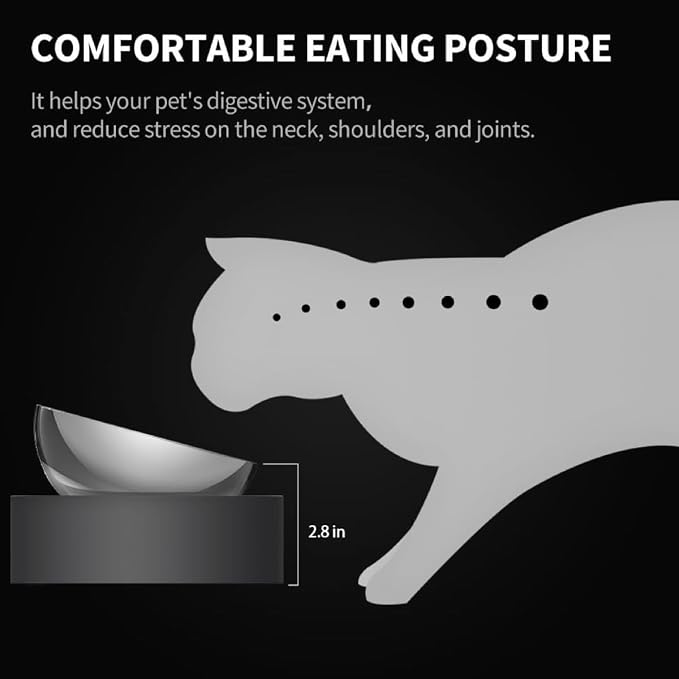 PETKIT Elevated Dog Cat Bowl with 2 Stainless Steel Replaced Bowls, 15° Tilted Raised Cat Food and Water Bowls, Food Grade Material, Nonslip No Spill Pet Feeding Bowls - Image 4