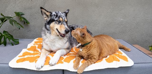 Waterproof Blanket, 29" x 34” - Seat Cover for Dogs and Pets. Ideal for Small and Medium Pet Crate Blankets, Settle mat, Diaper Changing and Playmat for Babies - Image 3