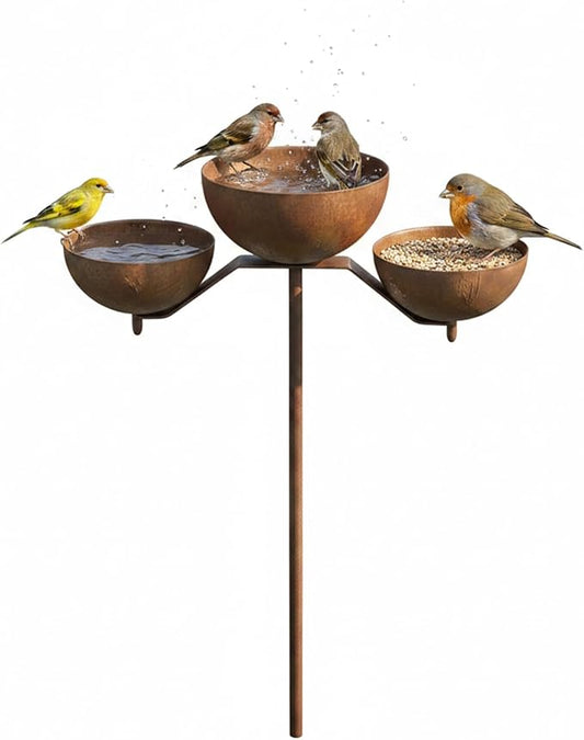 Rusty Rain Catcher Garden Stake - Adjustable Metal Bird Feeder and Bath Bowl, Vintage Outdoor Decor for Lawn Yard Landscaping, Attracts Birds and Beneficial Insects by Unknown