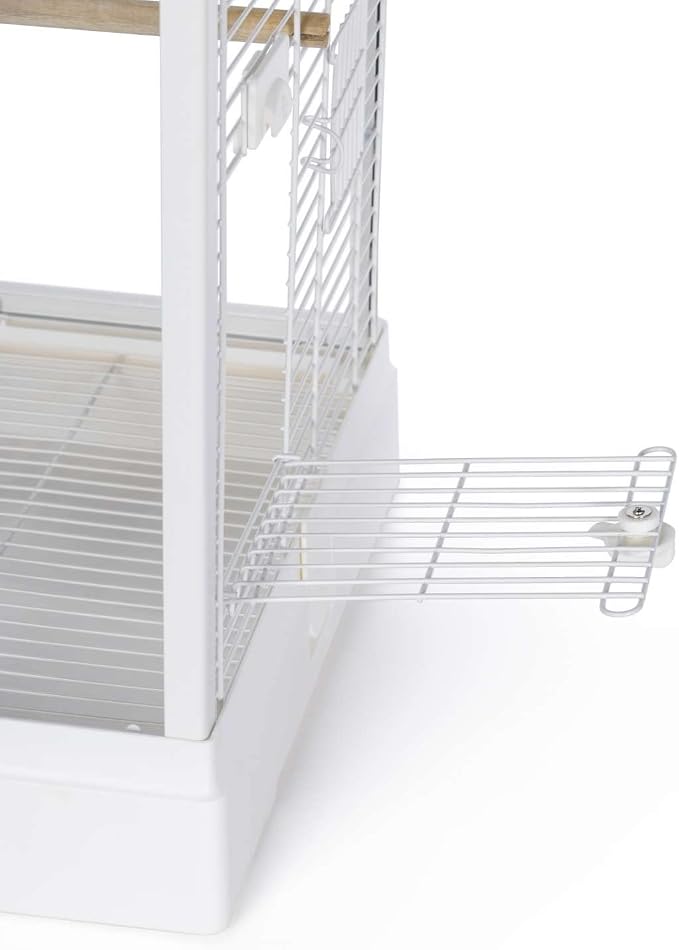 Prevue Pet Products Clear View Glass Bird Cage Crystal Palace for Small Birds - White Frame - Image 12