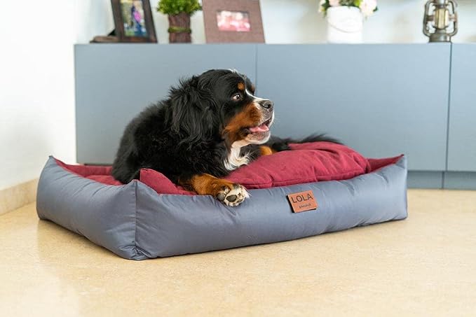 Personalized Dog Bed, Extra Comfort, Removable Washable Cover, Waterproof Bottom, Multiple Sizes & Colors - Image 5