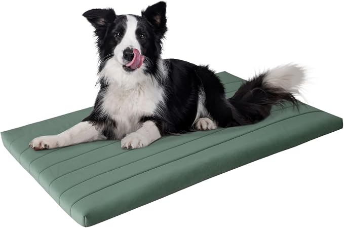 BALANCE Dog Crate Bed, Orthopedic Dog Bed Pad with Waterproof Liner, Washable Crate Foam Pet Mat for Large, Medium, Puppy Dogs Breeds, Mint Leaf, 42"x28"x2" by BalancePet
