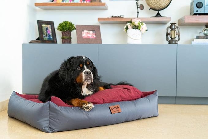 Personalized Dog Bed, Extra Comfort, Removable Washable Cover, Waterproof Bottom, Multiple Sizes & Colors - Image 7