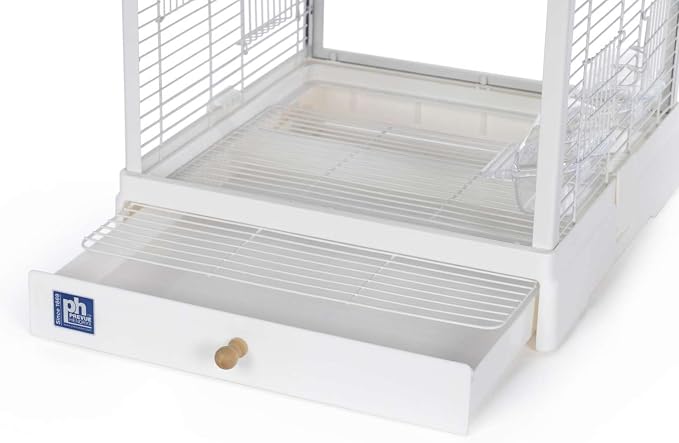 Prevue Pet Products Clear View Glass Bird Cage Crystal Palace for Small Birds - White Frame - Image 13