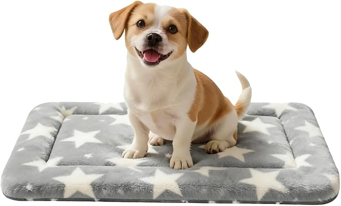 Dog Bed Mat, Reversible Crate Pad & Cute Dog Bed - Machine Washable Kennel Mat with Ultra Soft (Big&Small Stars Gray, 24" L*18" W*1.5" Th) by FogkissComfyPawsHome