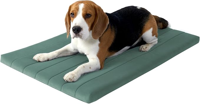 BALANCE Dog Crate Bed, Orthopedic Dog Bed Pad with Waterproof Liner, Washable Crate Foam Pet Mat for Large, Medium, Puppy Dogs Breeds, Mint Leaf, 36“x23”x1.6“ by BalancePet