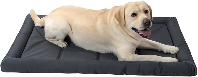 BALANCE Oxford Dog Bed for Extra Large Dogs, Waterproof Dogs Crates Pad Outdoor 2XL Dog Crate Mat, Wipe Clean & Easy Rinse, 48 inch by BalancePet