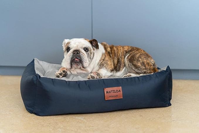 Personalized Dog Bed, Extra Comfort, Removable Washable Cover, Waterproof Bottom, Multiple Sizes & Colors - Image 5