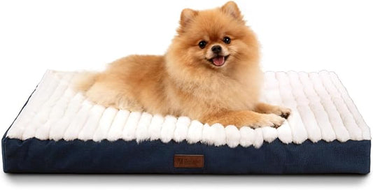 Orthopedic Dog Bed for Small Dogs,Firm Egg Crate Foam,Non-Slip Bottom,Blue | Soft Plush Surface,Removable Machine Washable Cover,Ideal for Crates & Small Spaces,Designed for Joint Support,23"x17"x3" by VERABE