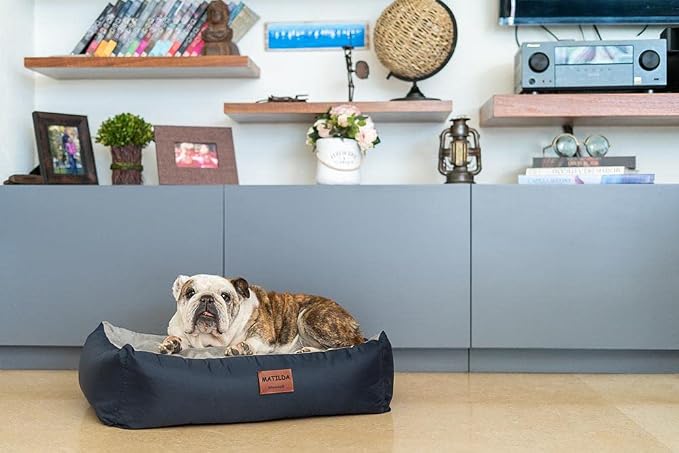 Personalized Dog Bed, Extra Comfort, Removable Washable Cover, Waterproof Bottom, Multiple Sizes & Colors - Image 3
