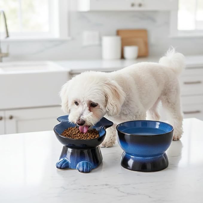 Nihow Dog Food & Water Bowls: Elevated Ceramic Bowls for Medium/Small Dog | Food Safe Raised Puppy Bowls - Vivid Blue Pet Bowl for Protecting Pet's Spine (Set of 2) - Image 7