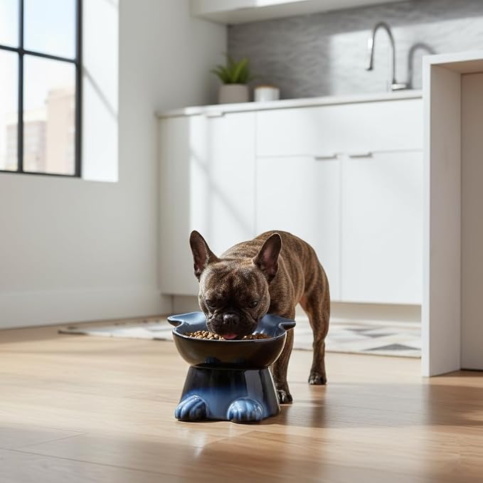 Nihow Elevated Ceramic Dog Bowls: 6.5 Inch Raised Dog Bowl for Food & Water | Food Safe Bowl for Medium/Small Size Dogs - Gray Puppy Bowls for Protecting Pet's Spine(1 PC) - Image 8