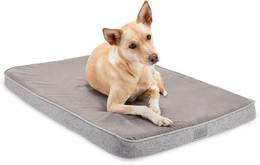 Diggs Snooz Memory Foam Dog Bed - Ideally Sized Revol Dog Crate Pad - Premium Orthopedic Pet Bed for Crate or Home - Grey, Intermediate by Diggs